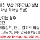 대상드림벨트 이미지