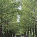 부귀면 소재지길 이미지