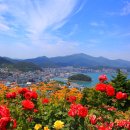 완도타워 이미지