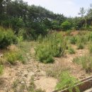 학산부동산공인중개사사무소 이미지