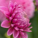 제이제이 스크린골프 이미지