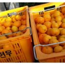 강창민농장 이미지