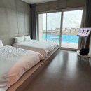 월정무인카페 | 데비스 제주 코코넛잼, 선물로 딱! 맛 후기