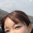 서울 헤어스트록 헤일리뷰티 내돈내산 후기