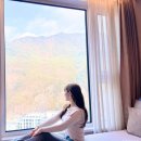 정선 파크로쉬 3번 다녀온 커플 호캉스 웰니스 사우나 조식 솔직후기
