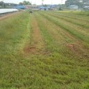 새로이농장 이미지