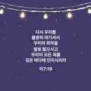 펫택시 전재우 | [간문부담도암]2차항암제 오니바이드+5fu 2차 후기