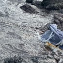 발안하나로마트 | 2024 jeju 2일차