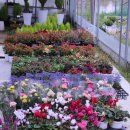 신용농원 이미지