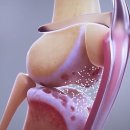 (주)금강케어 이미지