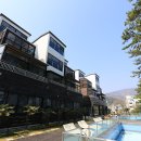 파인비치A 네이버블로그