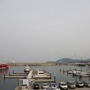 울릉도여행사