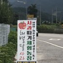 정명호농장 이미지