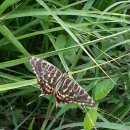 (주)창선 이미지