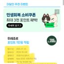 강남식빵 | 네이버페이 QR결제 50%할인 뚜레쥬르 강남직영점 구매 후기 (+무료 우유식빵)