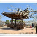 매화동산 화장실 이미지