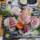 도모참치