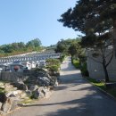 송해면-7 이미지