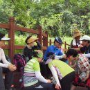 견우와 직녀 이미지