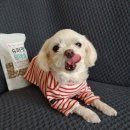 굳디컴퍼니 이미지