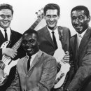 엠지에스 이미지