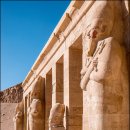 대신종축 이미지