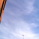 I took a picture for you. 이미지