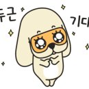 조이 애견 유치원 이미지