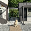 [5월 캠핑] 그자리야영장 캠핑 후기🏕️ ( 애견 동반 가능 🐶 )