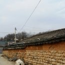아름애견 - 성북구 동소문로 305-4 | 아름애견