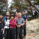 294-2-000001 Daum카페