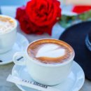 평화종합정비 | 파주 DMZ 평화관광 예약 방법 및 코스