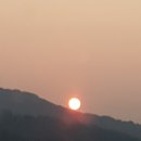 이정자농원 이미지