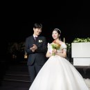 시노그라피스튜디오 이미지