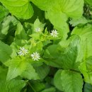 행선농장 이미지