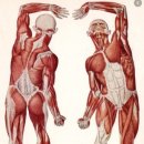 성신사우나 이미지