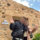 둥기농장 | 마요르카 숙소후기 : Finca Sa Canova Agroturismo