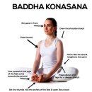 아헹가요가파주본원 이미지