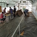 내동농장 이미지