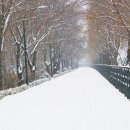 송정제방 이미지