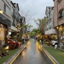 보정동 카페거리 이미지