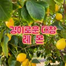 연향농장 이미지