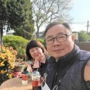 라파엘라 이미지
