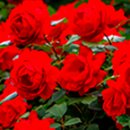 왜관중학교 이미지