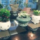 자양농장 이미지