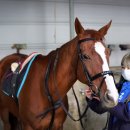 한국경마축산고등학교 이미지
