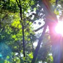 황포냉면 이미지