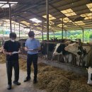 영남축산 이미지