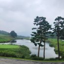 레인보우힐스CC 국민일보