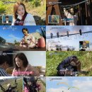 단아 - 고양시 일산동구 일산로441번길 52-11 | 단아